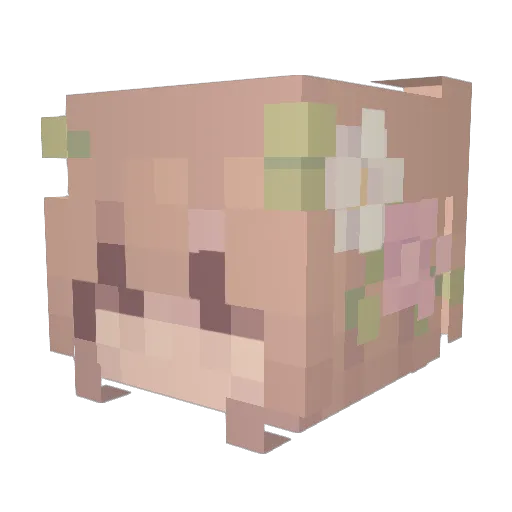 Amalitys Minecraft avatar head, 3D render