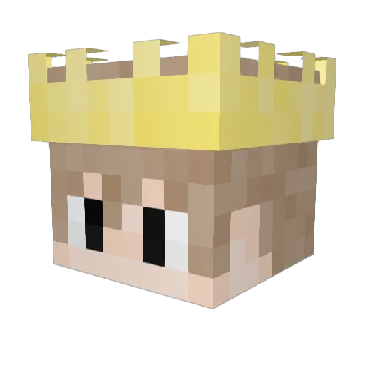 AmanOPP Minecraft avatar head, 3D render