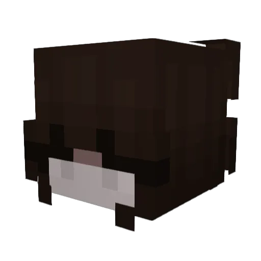 Amanda002 Minecraft avatar head, 3D render