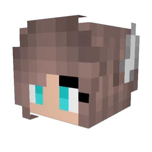 Amanda010 Minecraft avatar head, 3D render