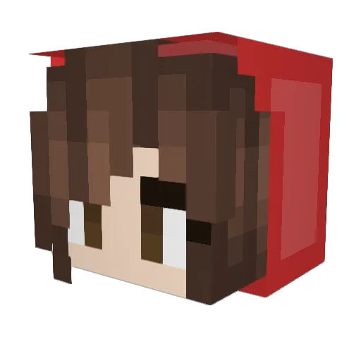 AmandaD404 Minecraft avatar head, 3D render