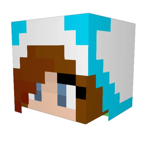 AmandaPanda503 Minecraft avatar head, 3D render