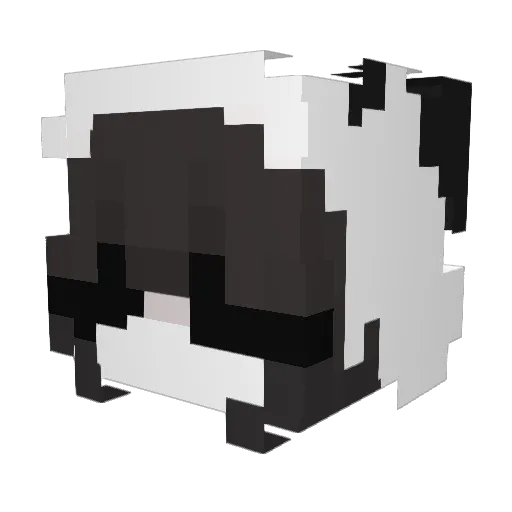 Amanda_111 Minecraft avatar head, 3D render