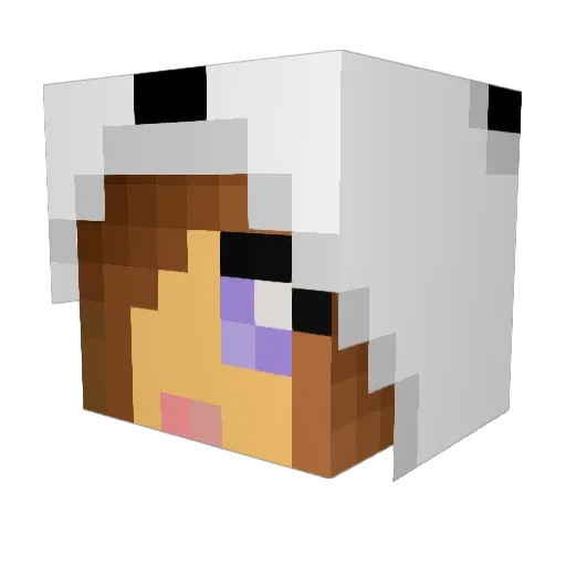 Amandacw03 Minecraft avatar head, 3D render