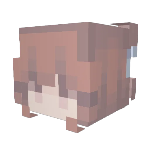 Amao1111 Minecraft avatar head, 3D render
