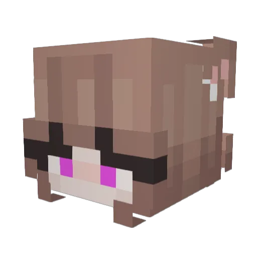 Amaphie Minecraft avatar head, 3D render