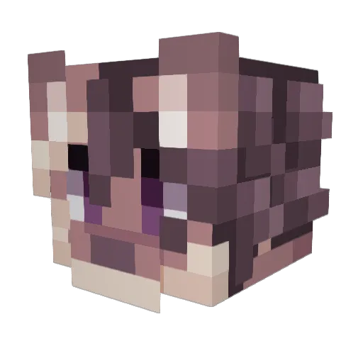 AmariMaine Minecraft avatar head, 3D render