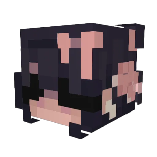 Amari_Cherry1 Minecraft avatar head, 3D render