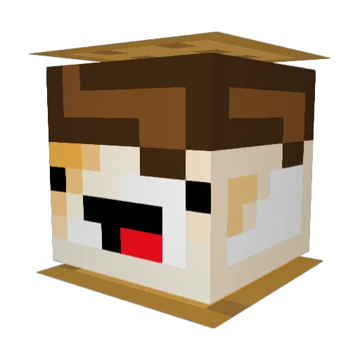 Amarica Minecraft avatar head, 3D render