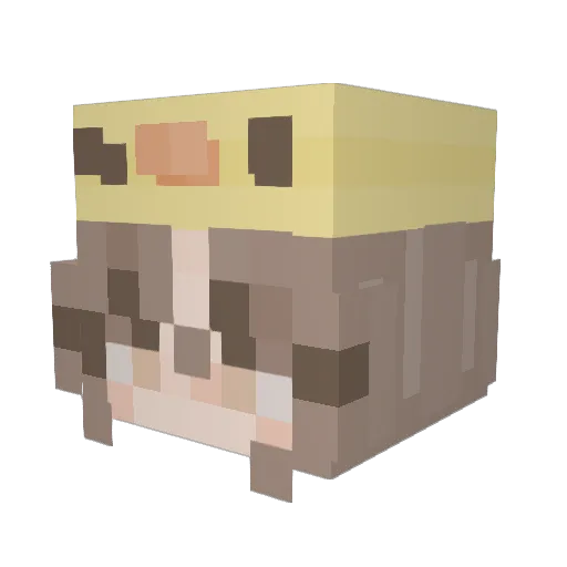 Amarthena Minecraft avatar head, 3D render