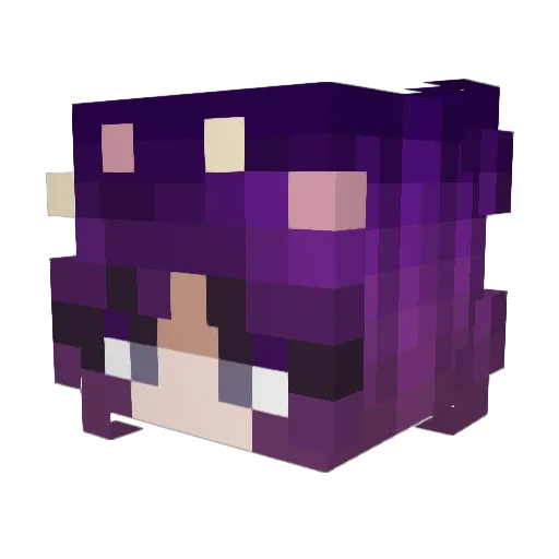 Amaryllis696 Minecraft avatar head, 3D render