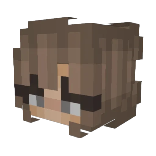 Amashwa Minecraft avatar head, 3D render