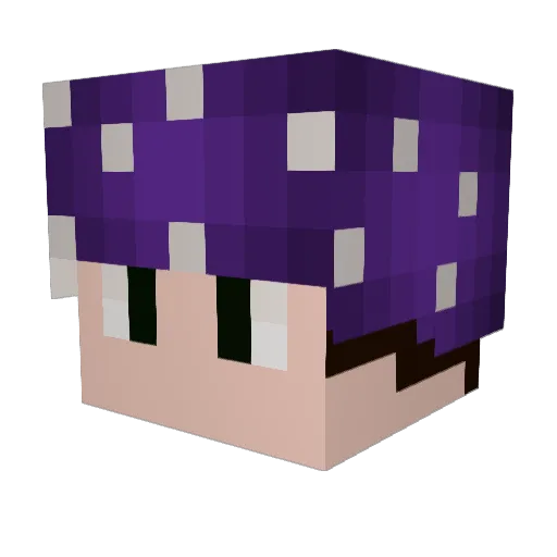 AmateurMove Minecraft avatar head, 3D render