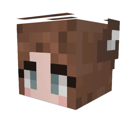 Amateur_Monkey Minecraft avatar head, 3D render