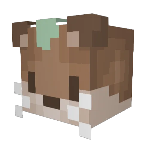Amateureur Minecraft avatar head, 3D render