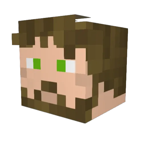 Amau01 Minecraft avatar head, 3D render