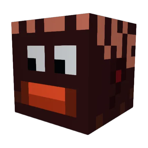 Amaukk1 Minecraft avatar head, 3D render