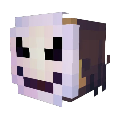 Amaury1008 Minecraft avatar head, 3D render