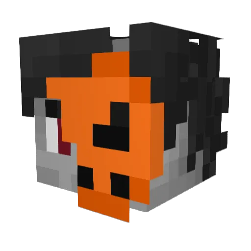 Amaxe501 Minecraft avatar head, 3D render
