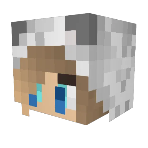 Amay_ Minecraft avatar head, 3D render