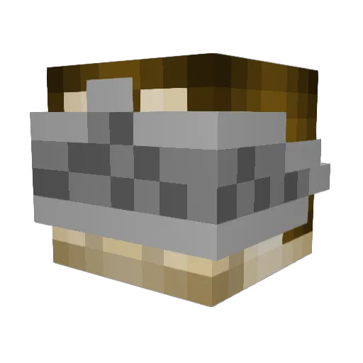 AmazingAcer Minecraft avatar head, 3D render