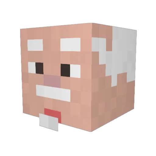 AmazingDonny Minecraft avatar head, 3D render