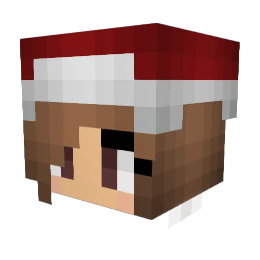 AmazingFabTaco Minecraft avatar head, 3D render