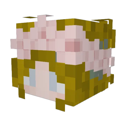 AmazingJas_ Minecraft avatar head, 3D render