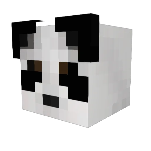 AmazingJonah Minecraft avatar head, 3D render
