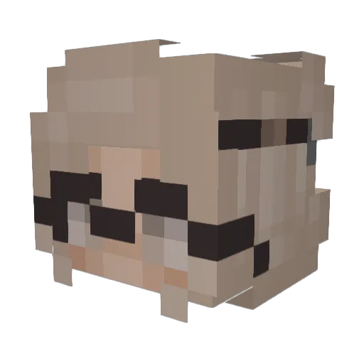 AmazingKenna Minecraft avatar head, 3D render