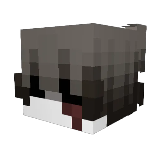 AmazingTiger642 Minecraft avatar head, 3D render