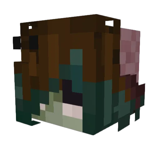 AmazingWitch1 Minecraft avatar head, 3D render