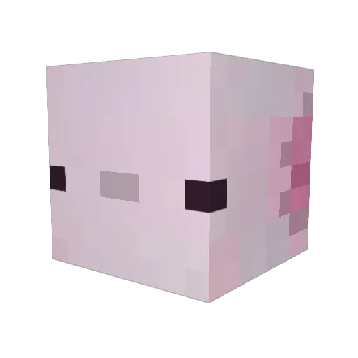 Amazing_Axolotl Minecraft avatar head, 3D render