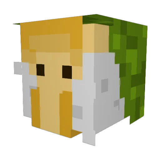 Amazingboy2007 Minecraft avatar head, 3D render