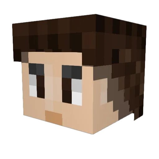 Amazon4 Minecraft avatar head, 3D render