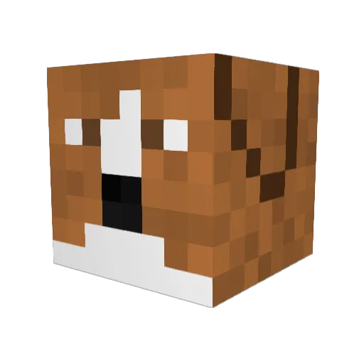 AmazonEchoo Minecraft avatar head, 3D render