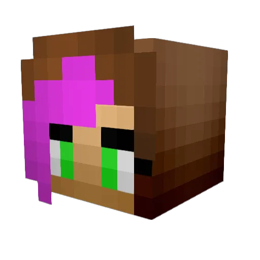 AmazonElite Minecraft avatar head, 3D render