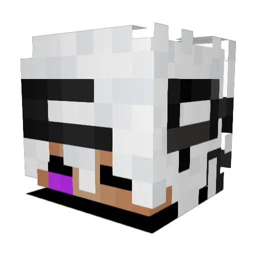 AmazonNutzer Minecraft avatar head, 3D render