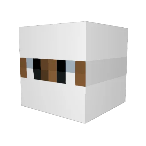 Amazona Minecraft avatar head, 3D render