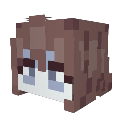 Amber719 Minecraft avatar head, 3D render