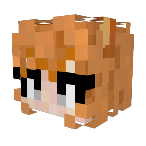 AmberFox02 Minecraft avatar head, 3D render