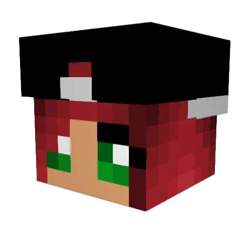 AmberTheKitty11 Minecraft avatar head, 3D render