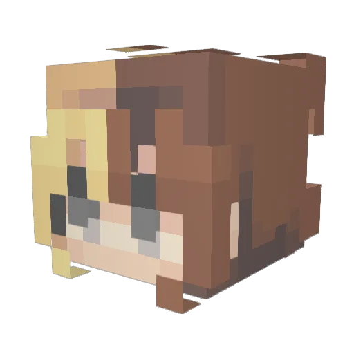 Amber_Berber Minecraft avatar head, 3D render