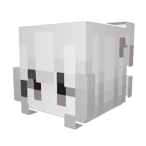 Amber_Yuan Minecraft avatar head, 3D render