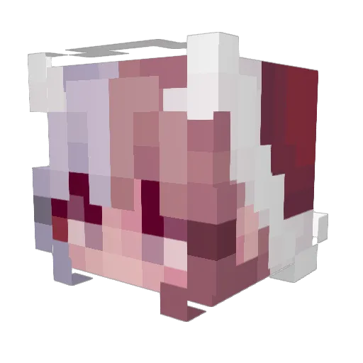 Amber__Lamps Minecraft avatar head, 3D render