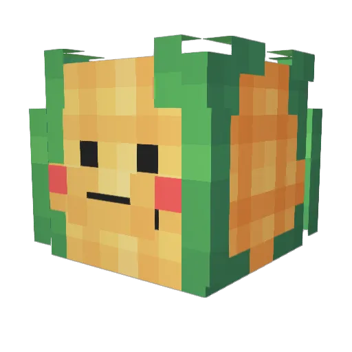 Amberry245 Minecraft avatar head, 3D render