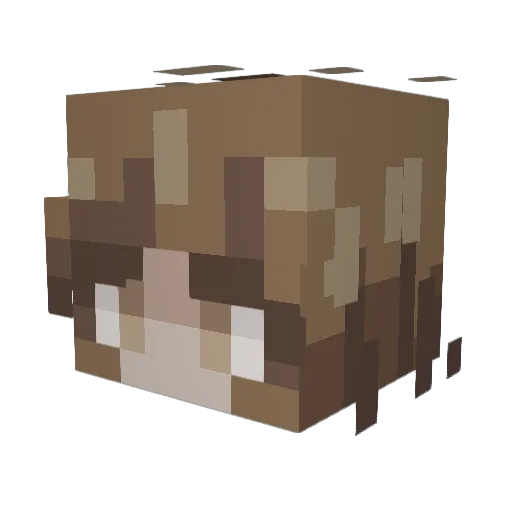 Amberwolf360 Minecraft avatar head, 3D render
