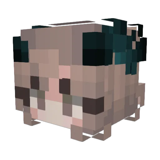 Ambezi Minecraft avatar head, 3D render
