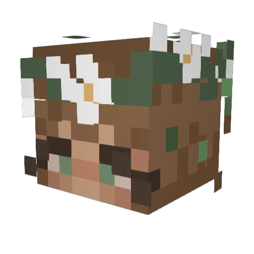 Amboe_ Minecraft avatar head, 3D render