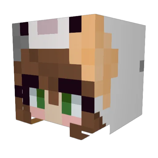 Ambooska Minecraft avatar head, 3D render